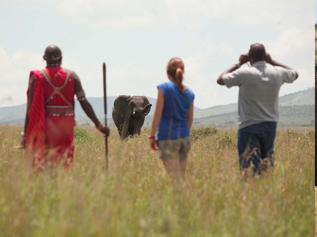 Sarova Mara Game Camp Villa Sekenani Luaran gambar