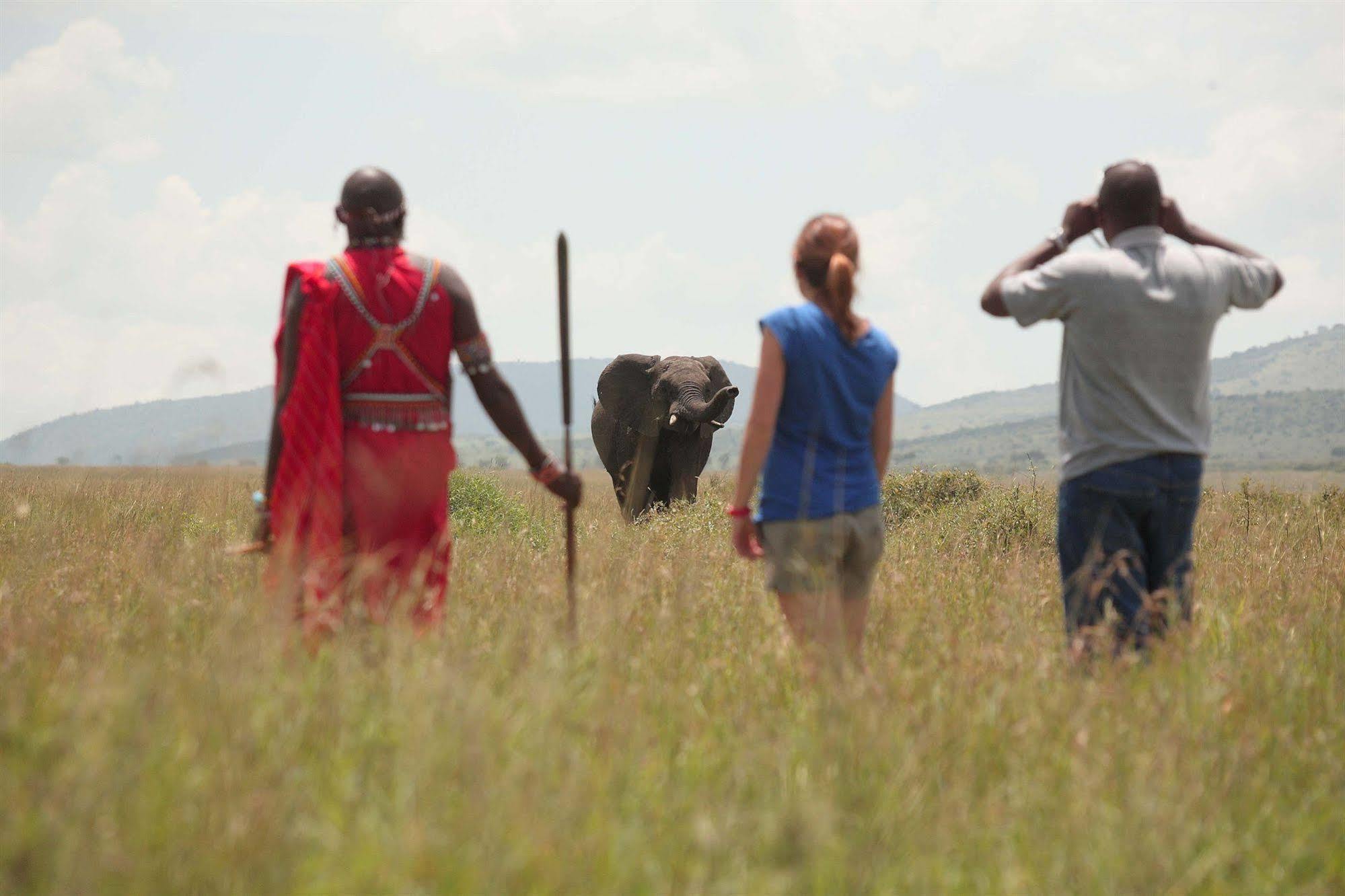 Sarova Mara Game Camp Villa Sekenani Luaran gambar
